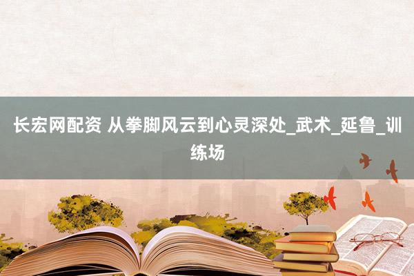 长宏网配资 从拳脚风云到心灵深处_武术_延鲁_训练场