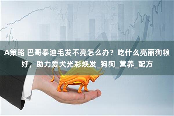 A策略 巴哥泰迪毛发不亮怎么办？吃什么亮丽狗粮好，助力爱犬光彩焕发_狗狗_营养_配方
