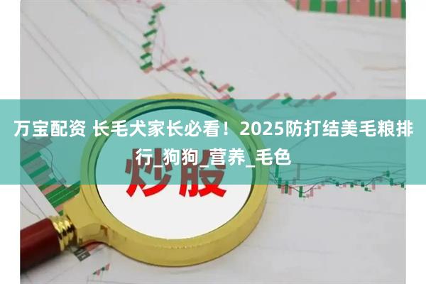 万宝配资 长毛犬家长必看！2025防打结美毛粮排行_狗狗_营养_毛色