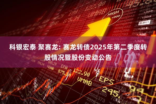 科银宏泰 聚赛龙: 赛龙转债2025年第二季度转股情况暨股份变动公告
