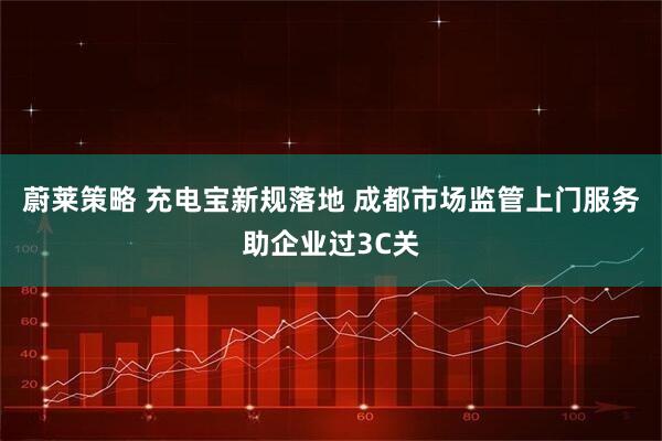 蔚莱策略 充电宝新规落地 成都市场监管上门服务助企业过3C关