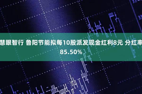 慧眼智行 鲁阳节能拟每10股派发现金红利8元 分红率85.50%